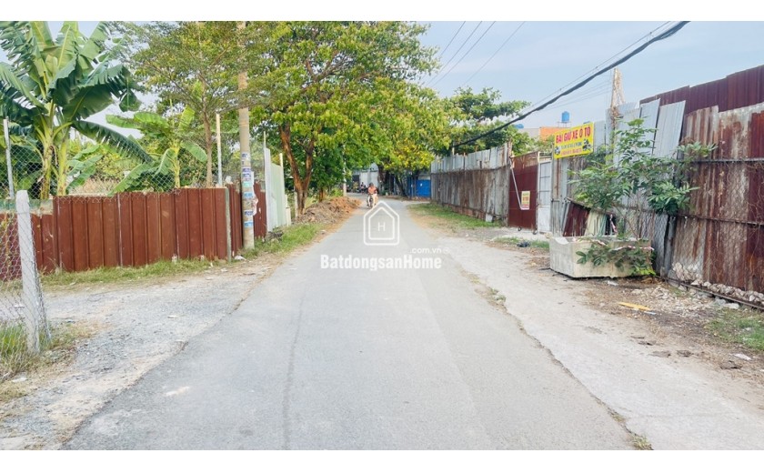 Cơ Hội Vàng! 3018m2 Đất CLN Bình Chánh, Lê Thị Dung - Chỉ 23 tỷ, Sổ Hồng, Đường 10m!